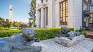 The Macchi Bears are seen outside UC Berkeley’s McLaughlin Hall as the Campanile looms in the background in Berkeley, Calif. on Thursday, July 30, 2020. (Photo by Adam Lau/Berkeley Engineering)
