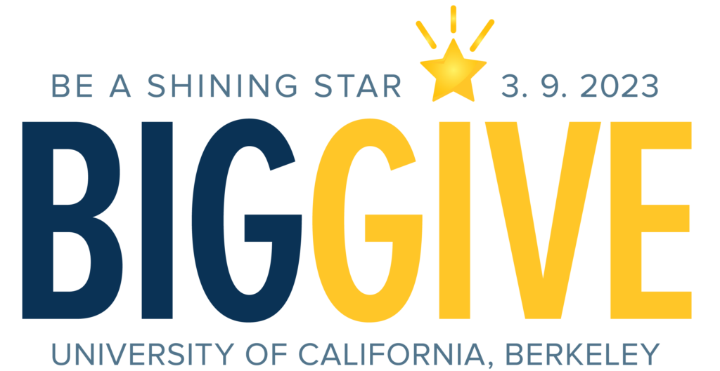 Big Give 2023 Pre event logo