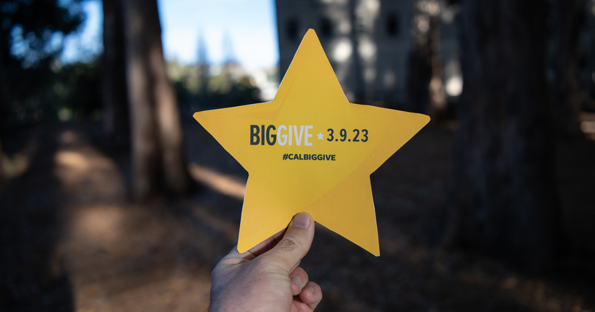 Big Give Star