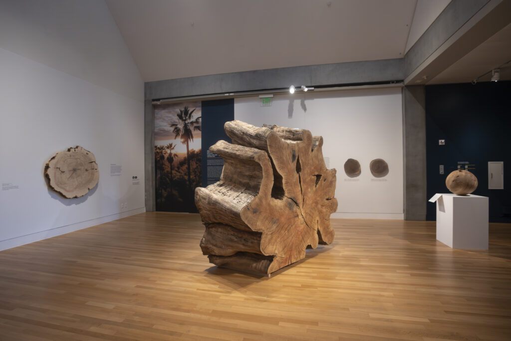 Tiffany Shlain and Ken Goldberg's Ancient Wisdom, installation view 2024, photo by Stefanie Atkinson Schwartz, Courtesy of Skirball Cultural Center