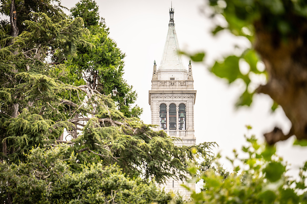 Distant view of the UC Berkeley Campanile framed by lush green trees and foliage.